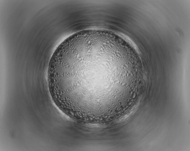 X0000112490855200908311430