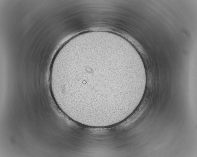 X0000112490856200908311430