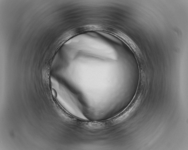 X0000112490857200908311430