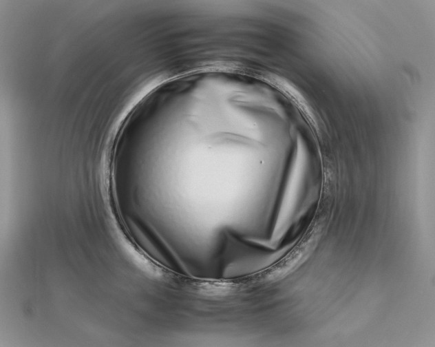 X0000112490859200908311430