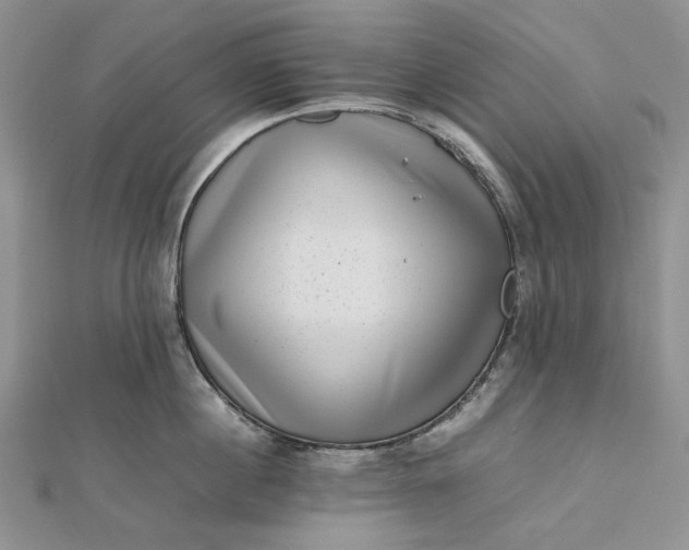 X0000112490860200908311430