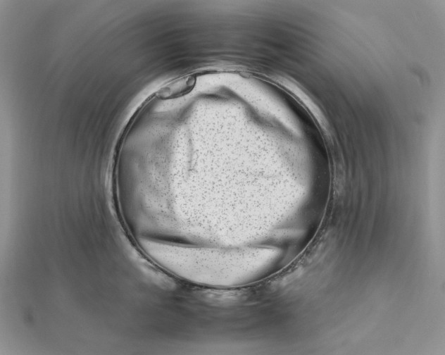 X0000112490861200908311430