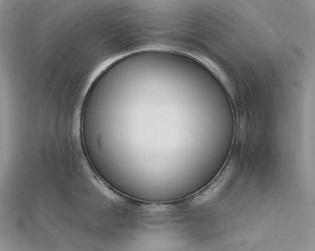 X0000112490862200908311430