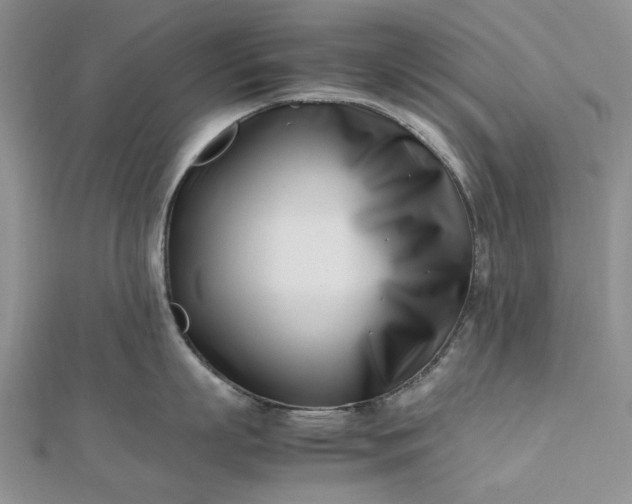 X0000112490863200908311430