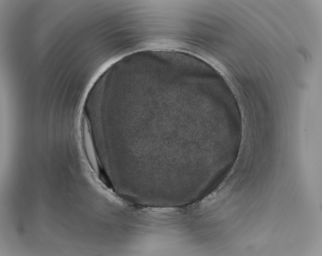 X0000112490864200908311430