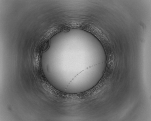 X0000112490866200908311430