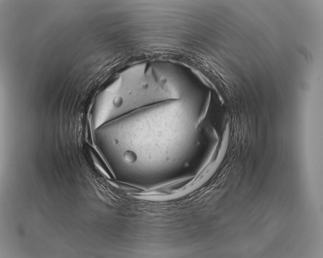 X0000112490868200908311430