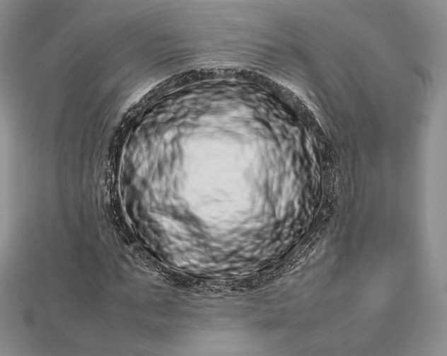 X0000112490871200908311430