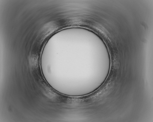 X0000112490873200908311430