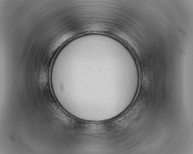 X0000112490874200908311430