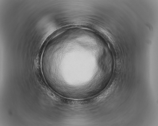 X0000112490875200908311430