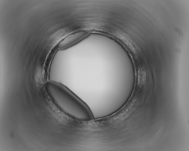 X0000112490876200908311429