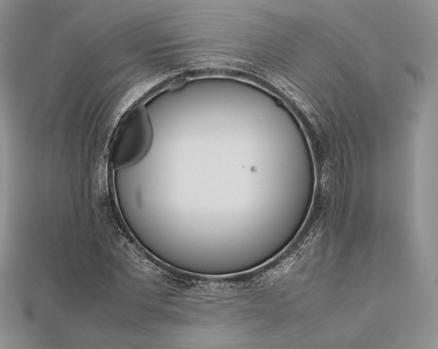 X0000112490877200908311429