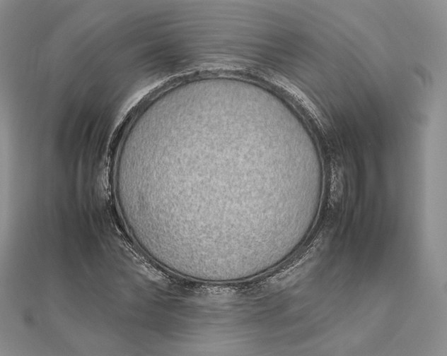 X0000112490878200908311429