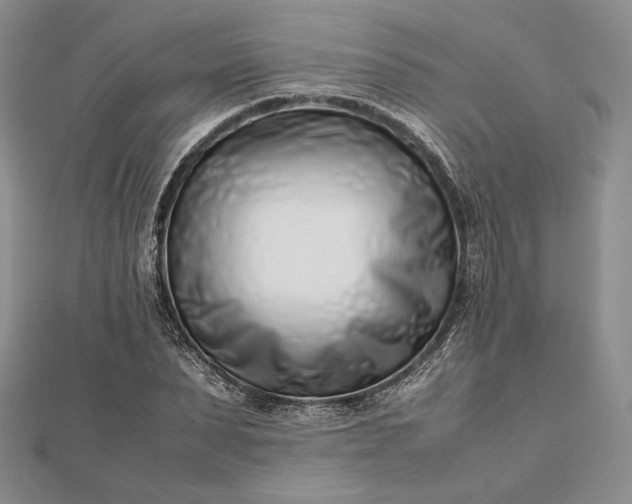 X0000112490879200908311429