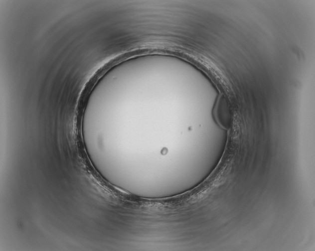 X0000112490880200908311429