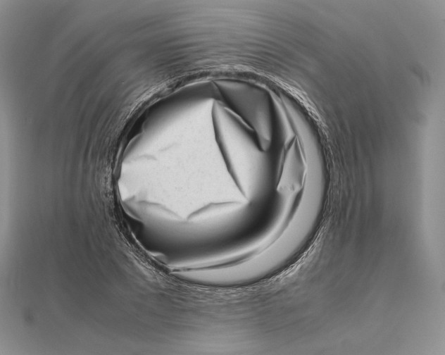 X0000112490881200908311429