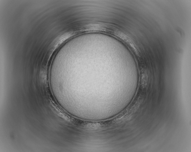 X0000112490882200908311429