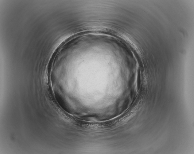 X0000112490883200908311429