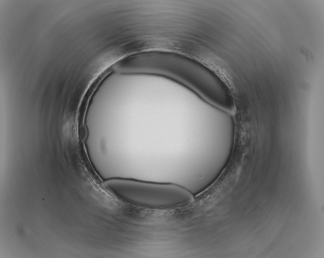 X0000112490884200908311429