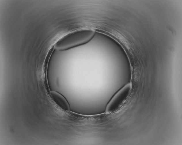 X0000112490885200908311429