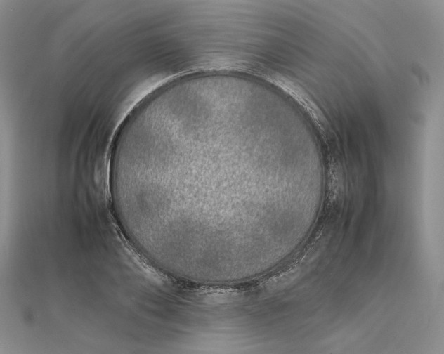 X0000112490886200908311429