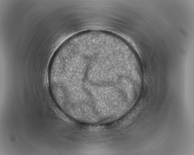 X0000112490887200908311429