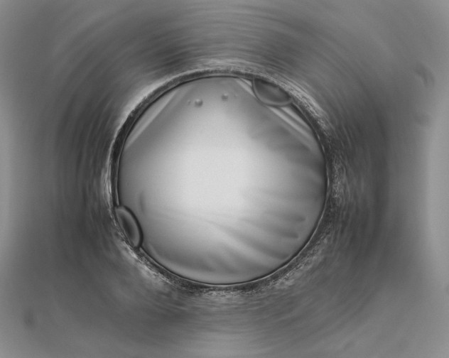 X0000112490888200908311429