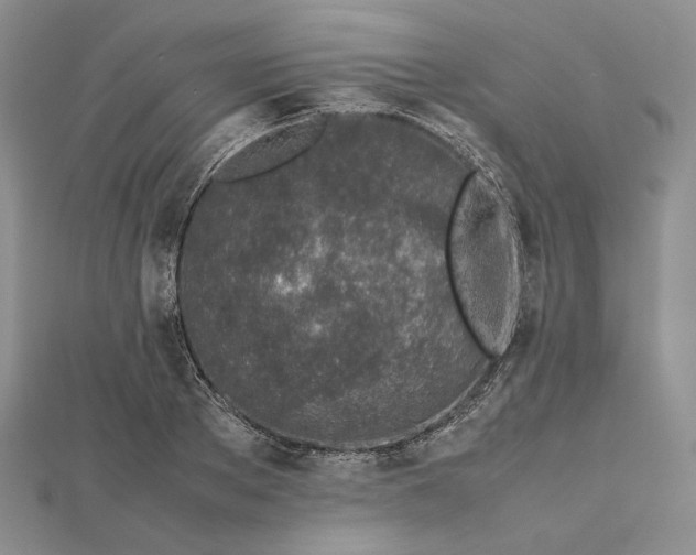 X0000112490889200908311429