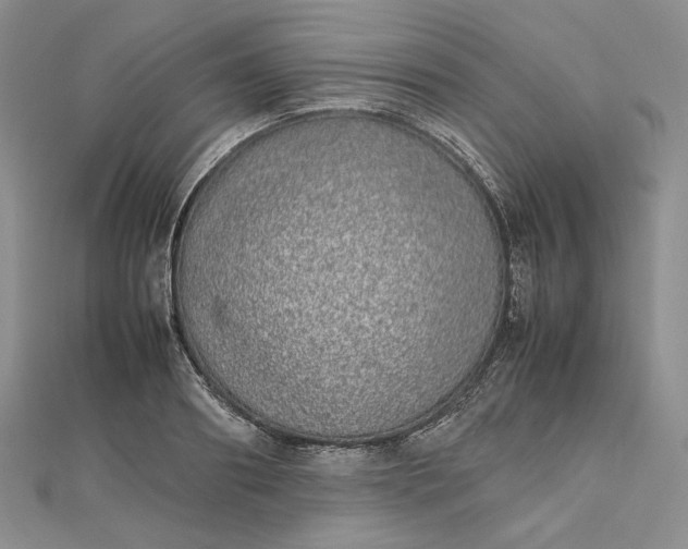 X0000112490890200908311429