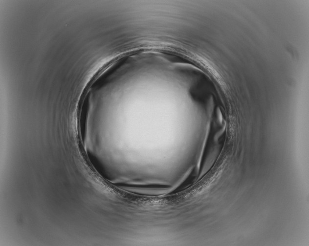 X0000112490891200908311429