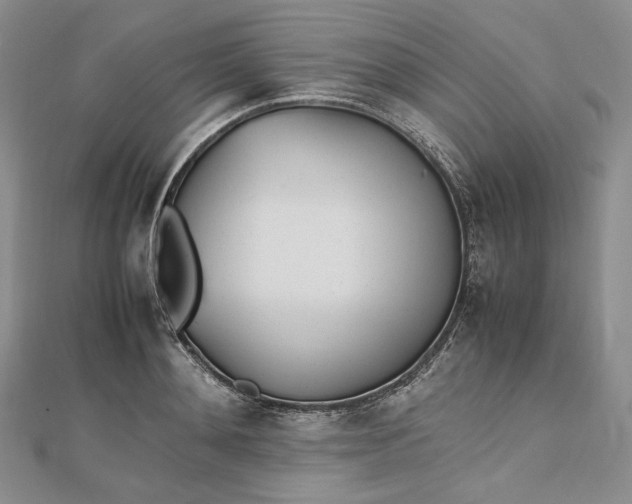 X0000112490892200908311429