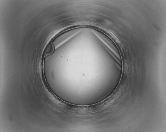 X0000112490895200908311429