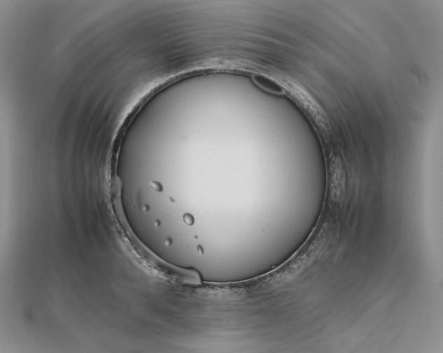 X0000112490896200908311429