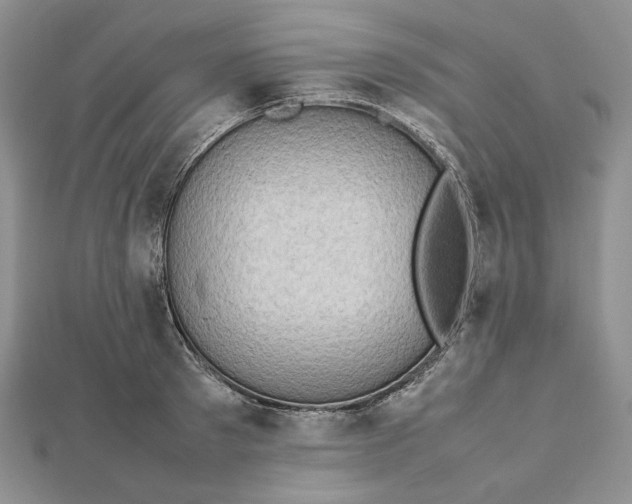 X0000112490897200908311429