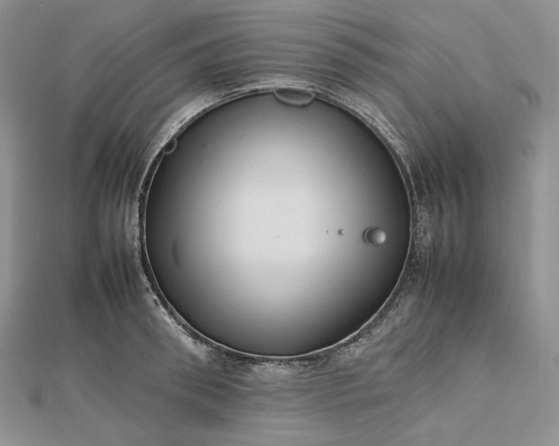 X0000112490898200908311429