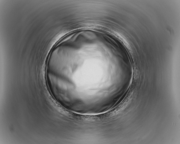 X0000112490899200908311429