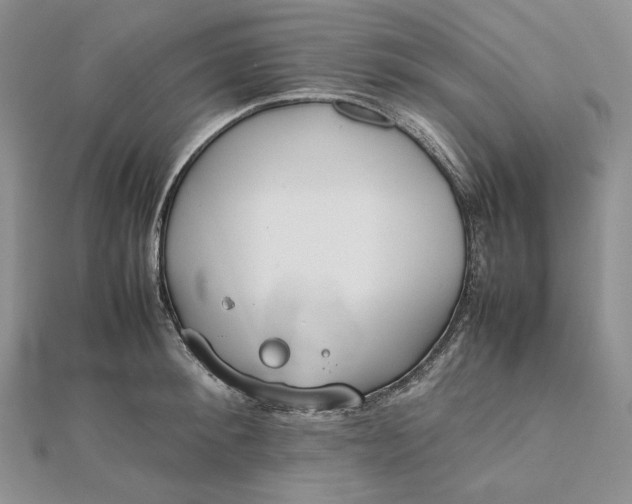 X0000112490900200908311429