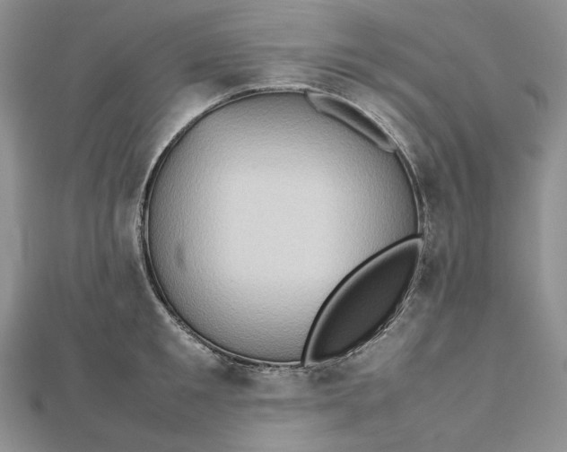 X0000112490901200908311429