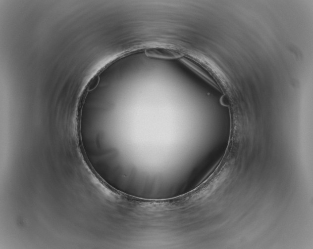 X0000112490902200908311429