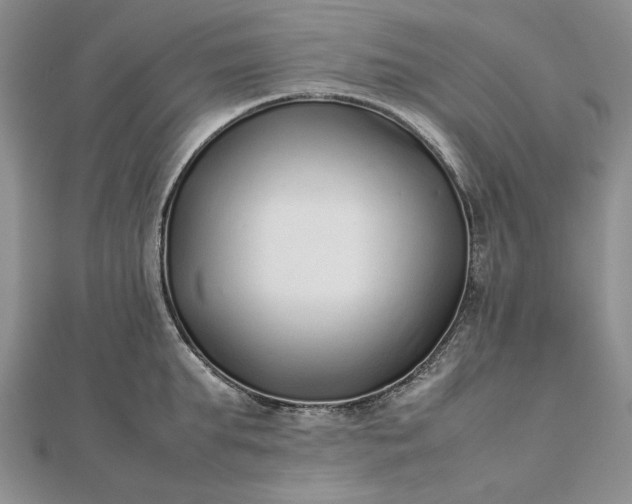 X0000112490903200908311429