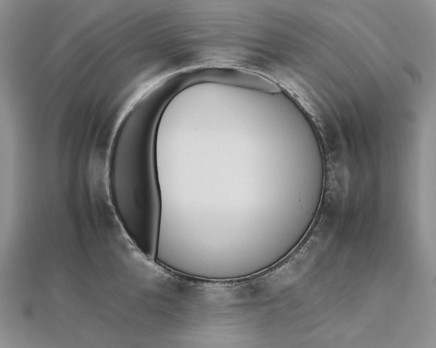 X0000112490904200908311429