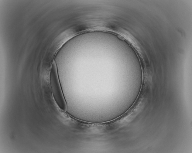 X0000112490905200908311429