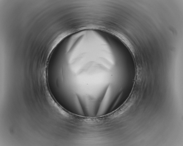 X0000112490906200908311429