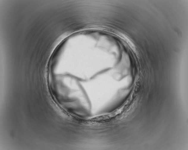 X0000112490907200908311429