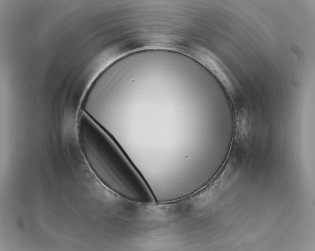 X0000112490908200908311429