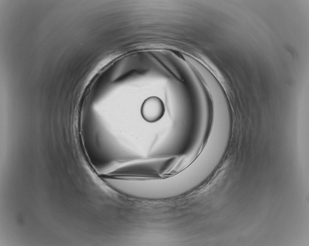 X0000112490909200908311429