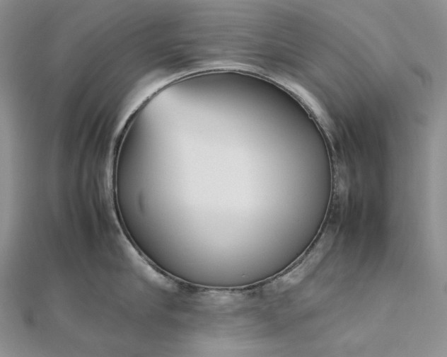 X0000112490910200908311429