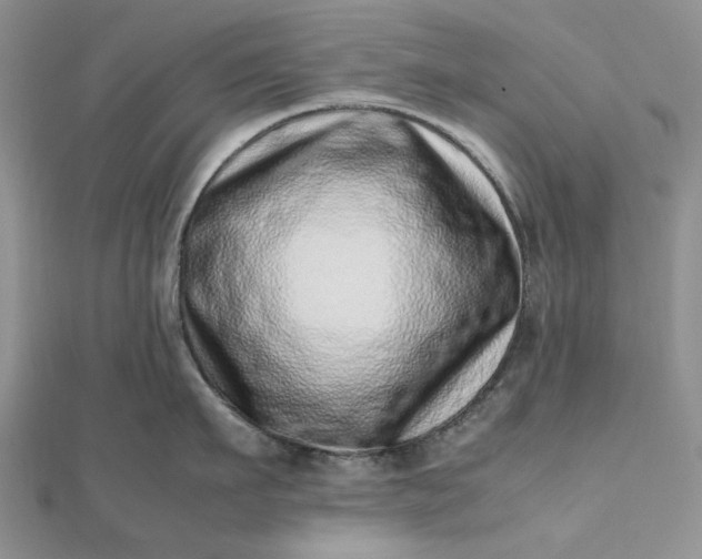 X0000112490911200908311429