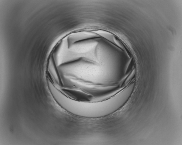 X0000112490912200908311429